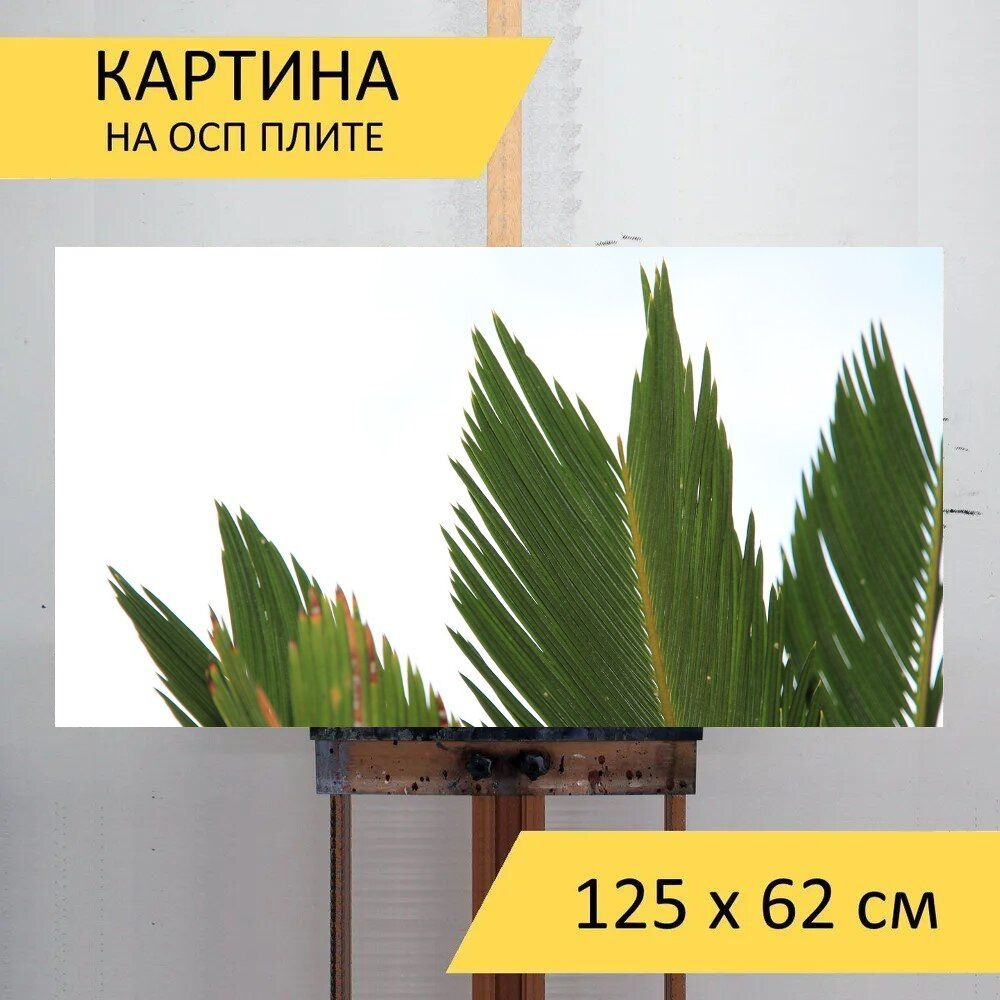 LotsPrints Картина "Пальма, завод, зеленый 96", 125  х 62 см #1