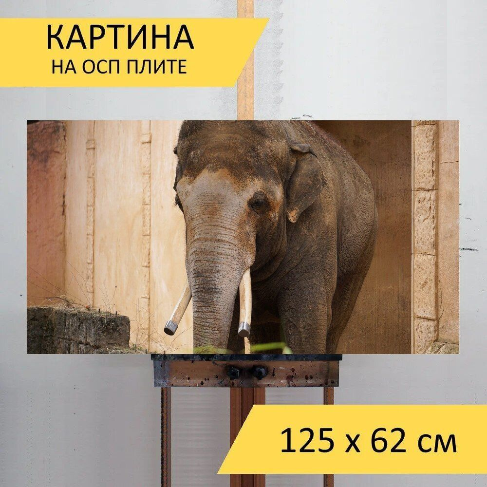 LotsPrints Картина "Слон, структура, бивни 07", 125  х 62 см #1
