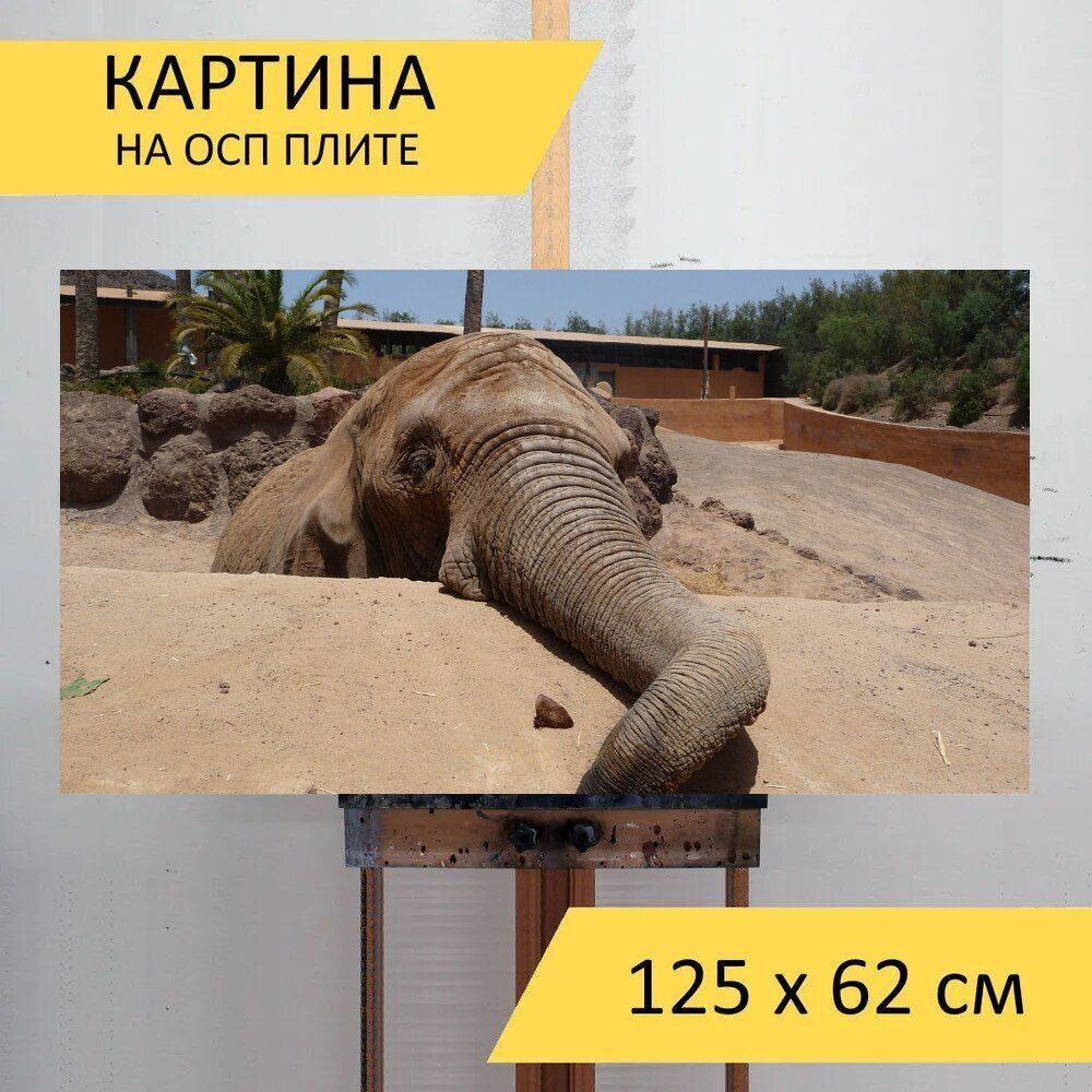 LotsPrints Картина "Слон, ствол, национальный парк 17", 125 х 62 см  #1