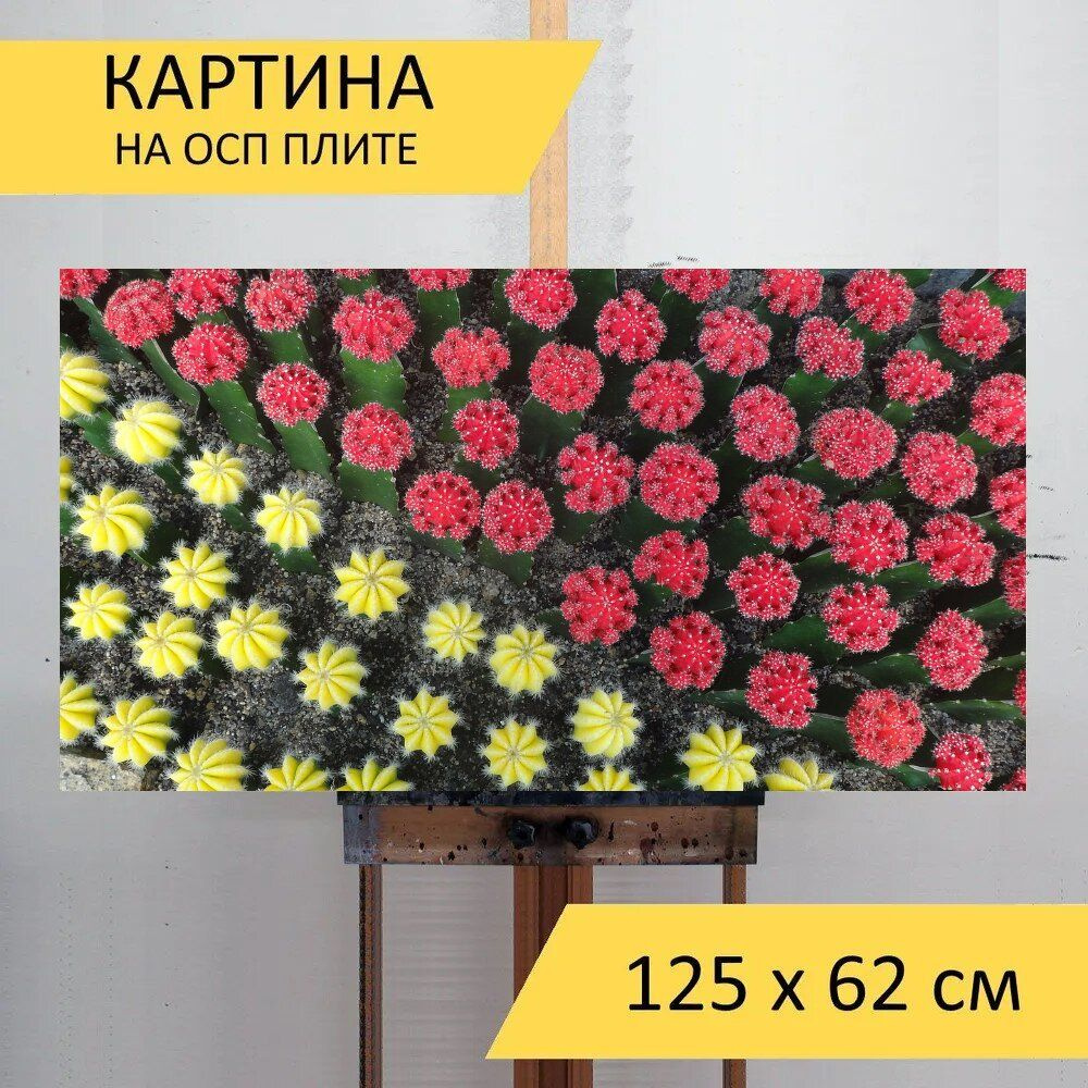 LotsPrints Картина "Кактус, красочный, сад 47", 125  х 62 см #1
