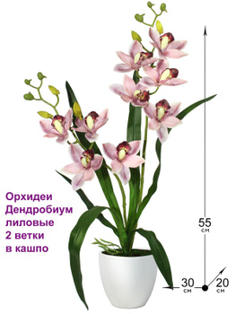 Золотая Орхидея – купить в интернет-магазине OZON по низкой цене