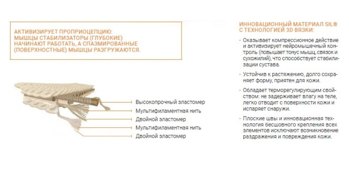 Текстовое описание изображения