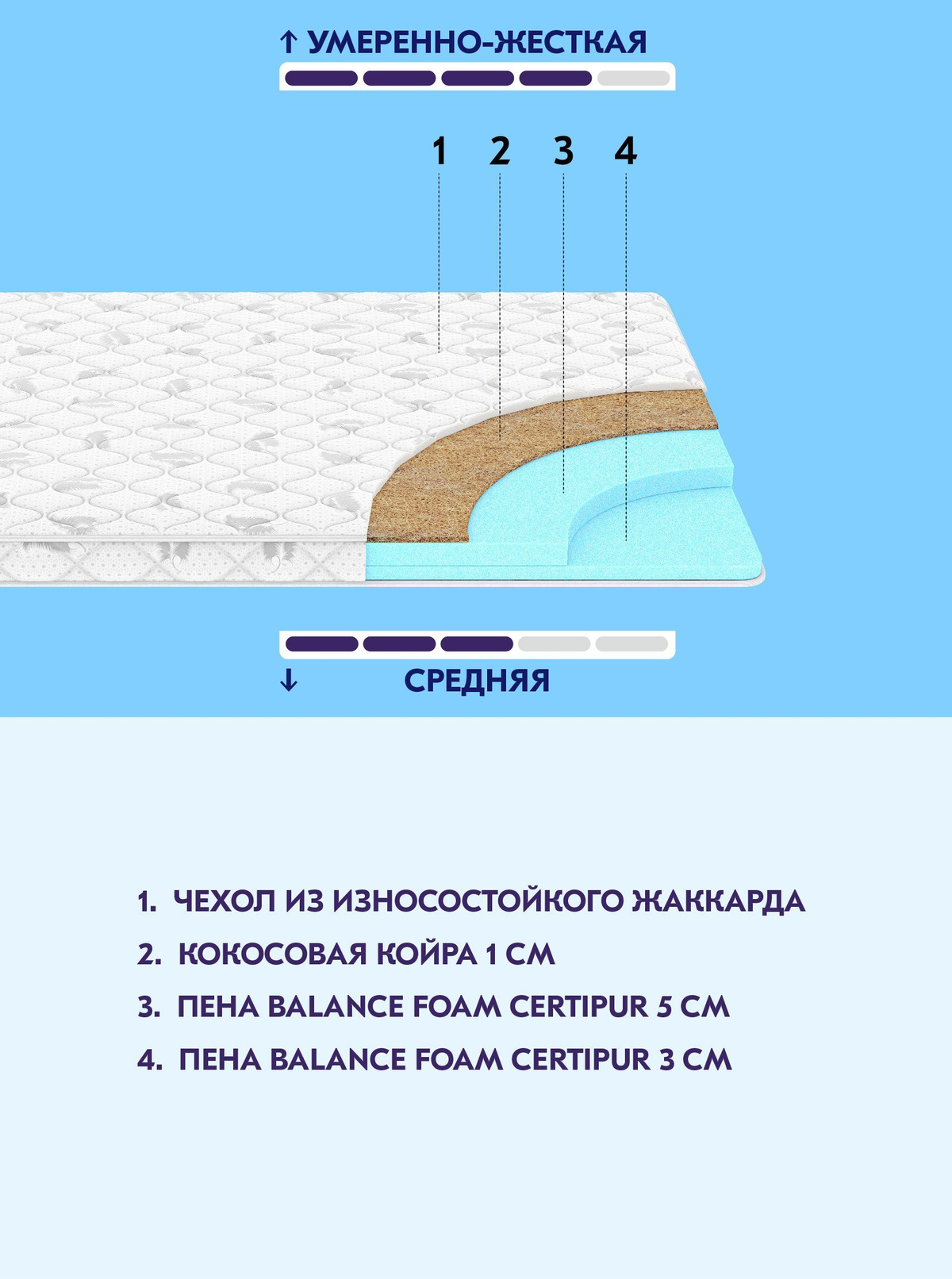 Текстовое описание изображения