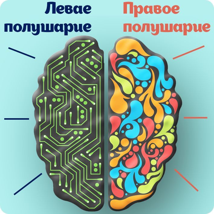 Межполушарное развитие