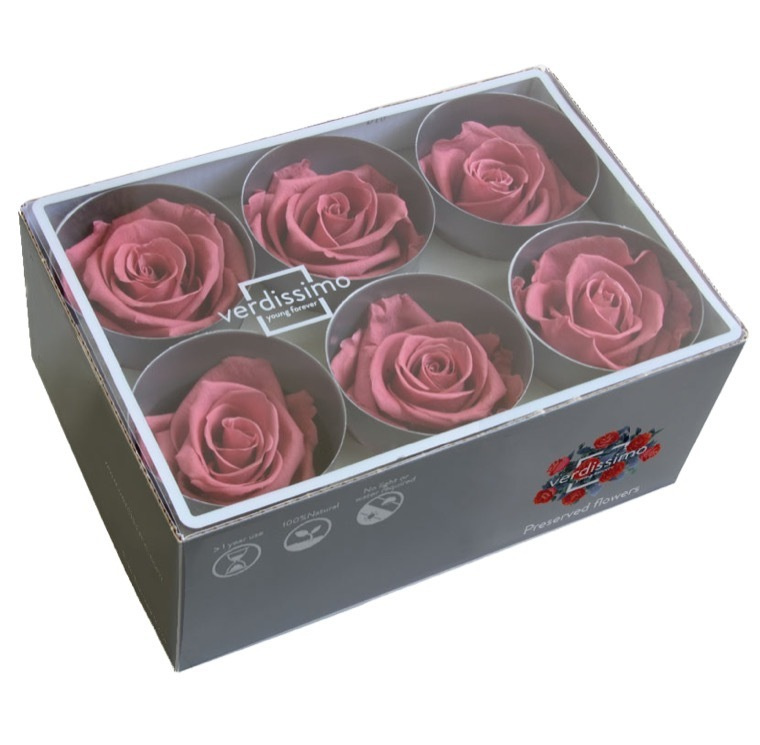 Бутоны розы стабилизированные "Цветущая вишня" 6шт /флористический материал/для создания букетов/  #1