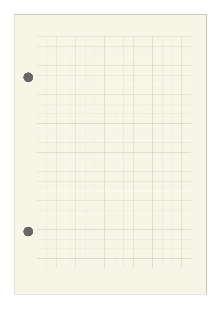 Сменный блок формата А6 в клетку для тетрадей на кольцах/Бежевая бумага  #1