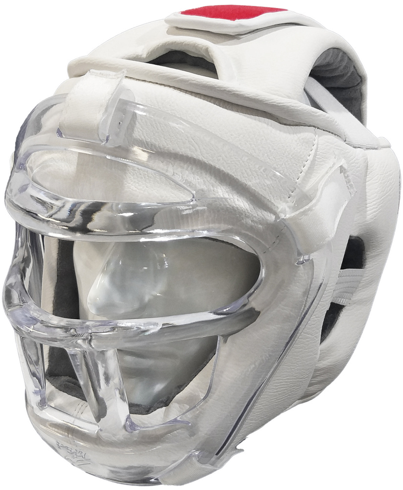 Шлем РЭЙ-СПОРТ "Кристалл-12" с пластиковой маской для Всестилевого Каратэ  #1