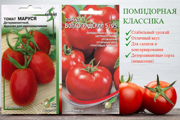 Томат Волгоградский 5/95 и Маруся семена набор 2 пакета (35 и 30 шт семян), лучшие урожайные сорта томатов #1