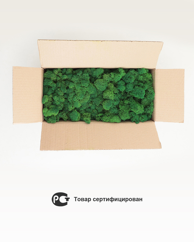 Стабилизированный мох 500гр., зеленый Александрит #1