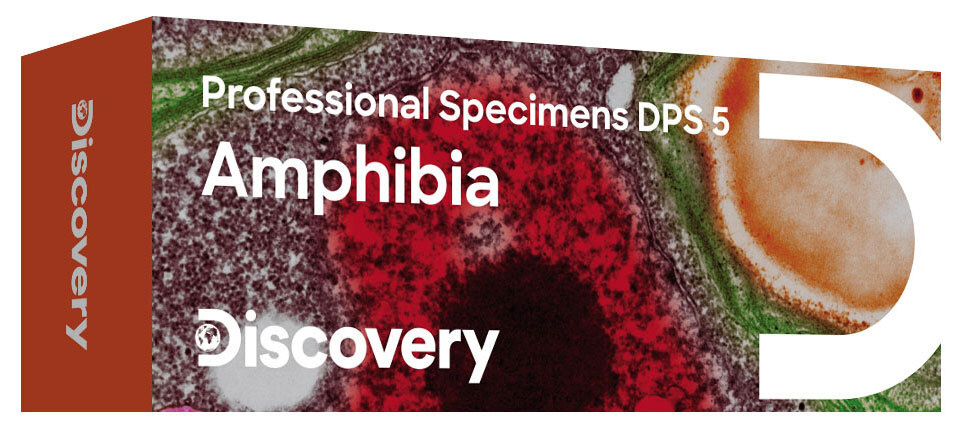 Набор микропрепаратов Discovery Prof DPS 5. "Амфибия" #1