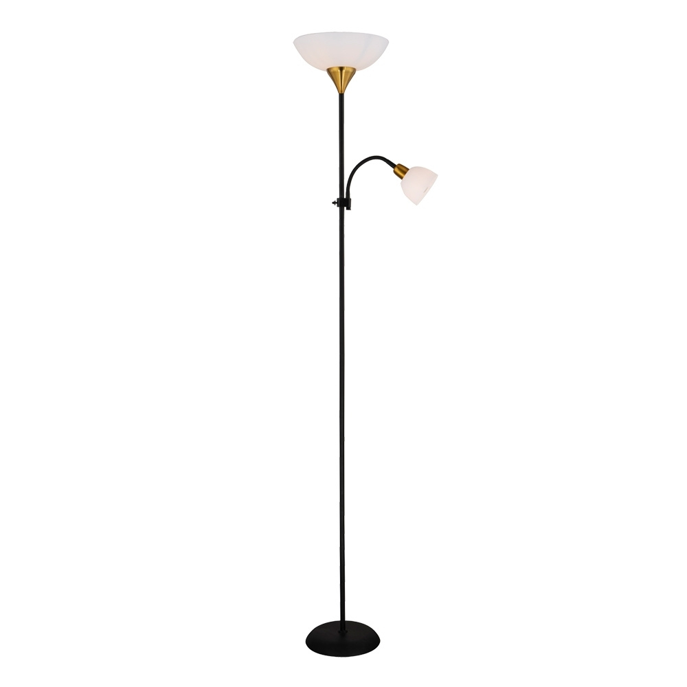 Торшер напольный светильник с дополнительной подсветкой Duetto Arte lamp A9569PN-2BK  #1