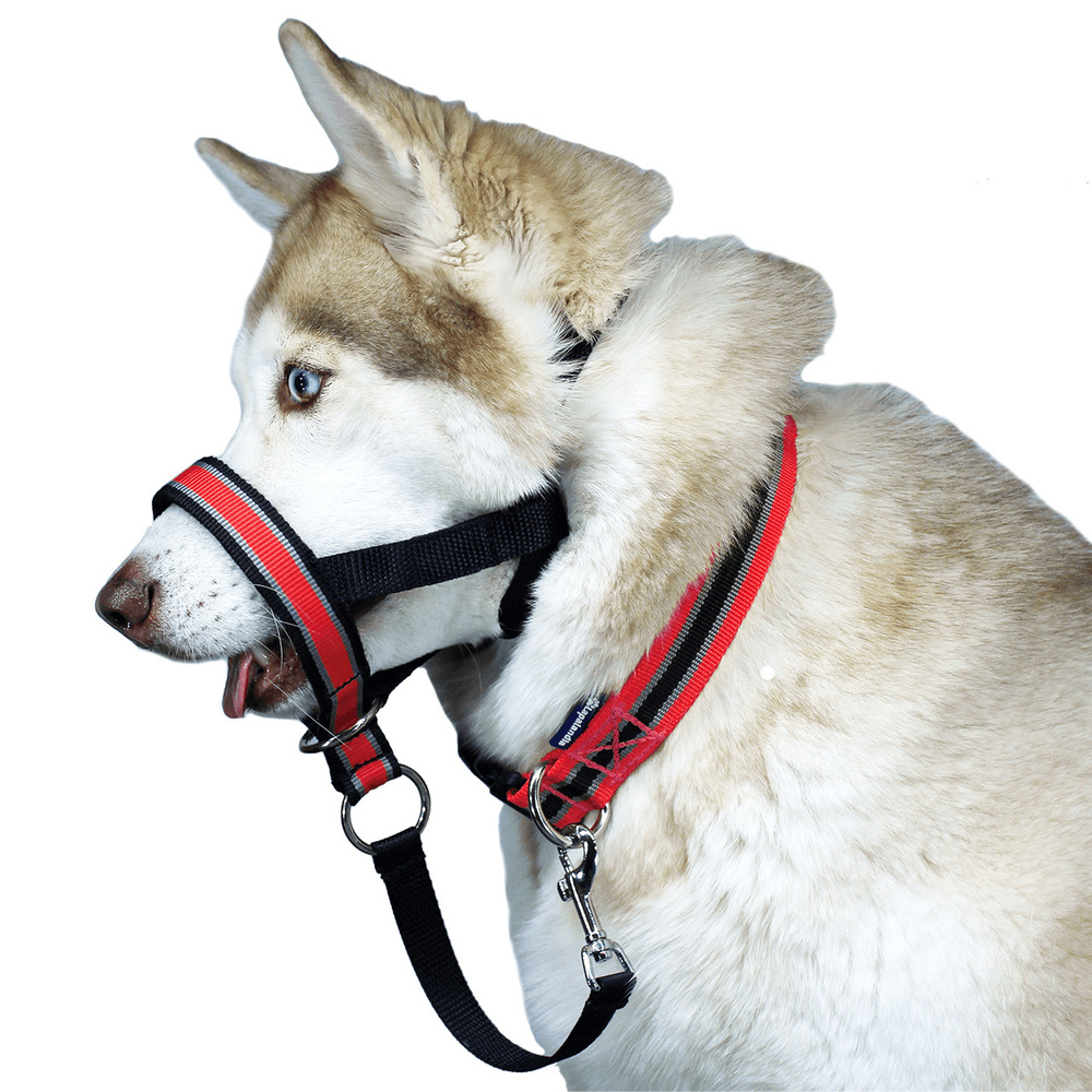Недоуздок для собак White Wolf (корректор поведения, халти) Спорт Красный  #1
