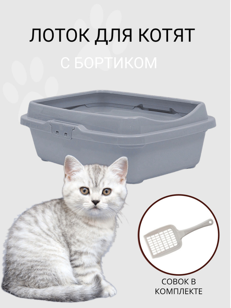 Туалет для котят с бортом DD Style, кошачий туалет, лоток для кошек с совком, светло-серый  #1
