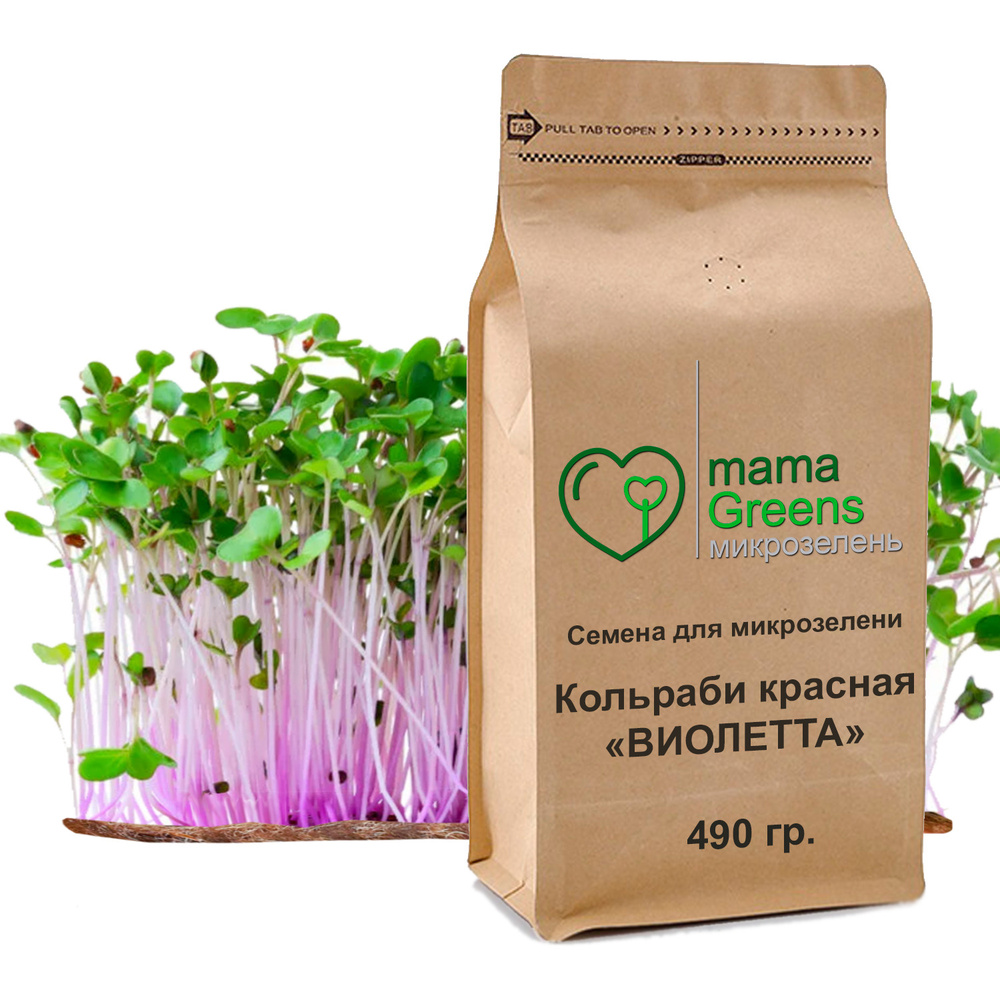 Семена капусты Кольраби Виолетта красная 490 гр - весовые семена для выращивания микрозелени и проращивания #1