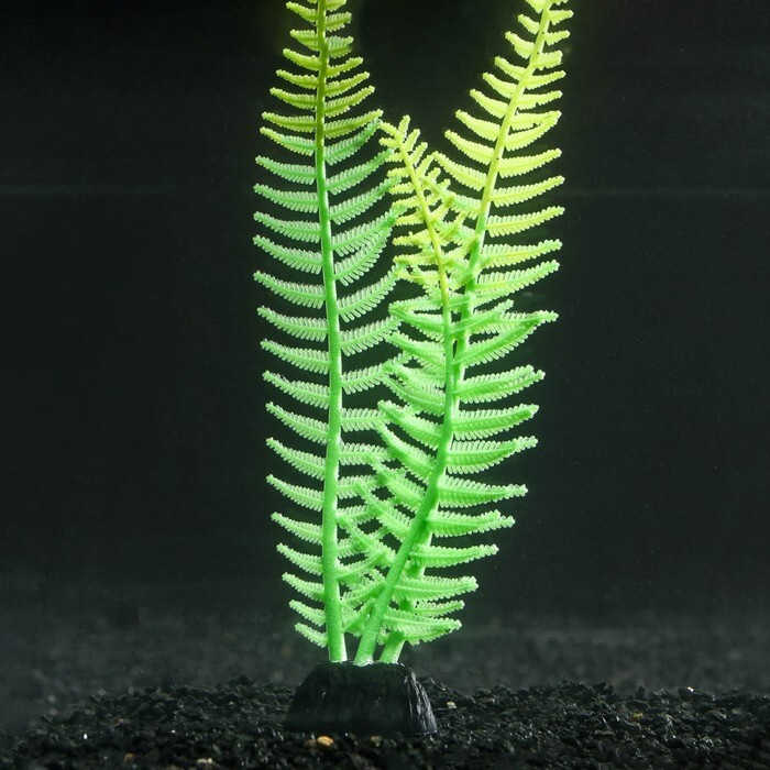 Растение аквариумное КНР силиконовое, светится в темноте, 8х23 см, зеленое  #1