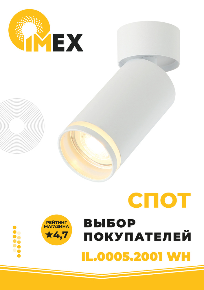 Спот настенно-потолочный IMEX IL.0005.2001 WH белый #1