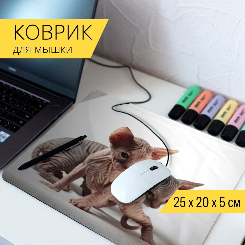 LotsPrints Коврик для мыши кошки, сфинкс, котята - 26-MPAD25X20-629066, разноцветный  #1