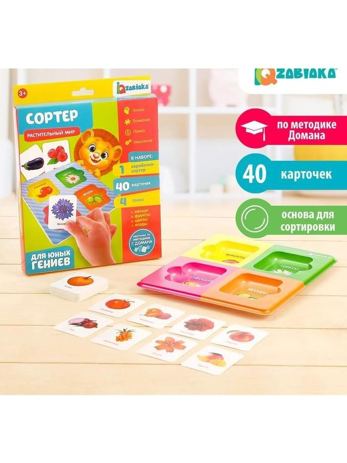 IQ-ZABIAKA Сортер "Растительный мир" с карточками Домана - купить с ...