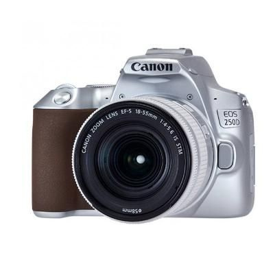 Фотоаппарат зеркальный Canon EOS 250D Kit EF-S 18-55mm IS STM #1