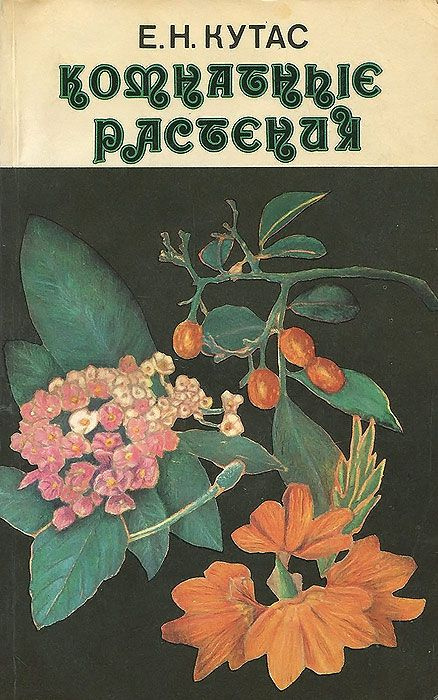 Комнатные растения | Кутас Елена Николаевна #1