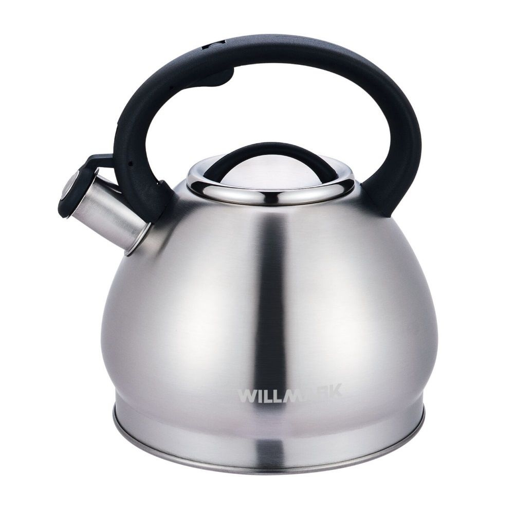 Чайник со свистком WILLMARK WTK-4221SS стальной матовый, объём 3.5 л, для всех видов плит  #1