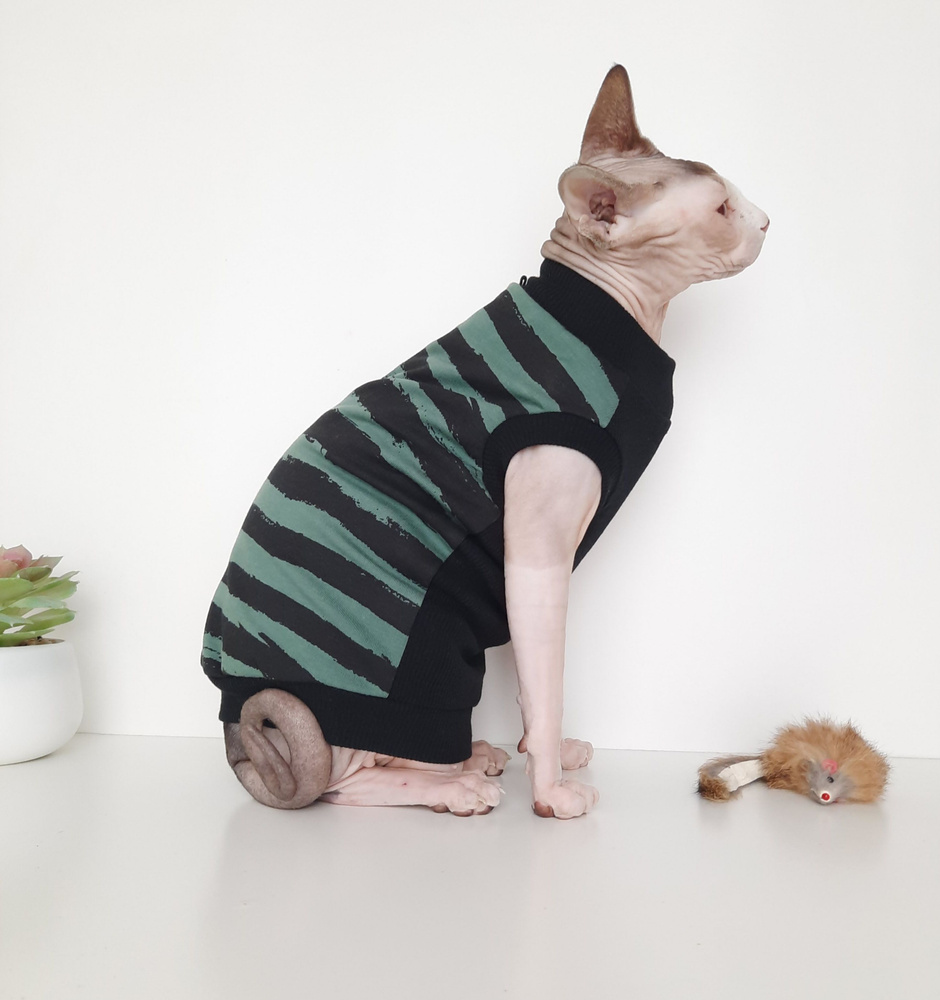 Одежда для котят сфинксов