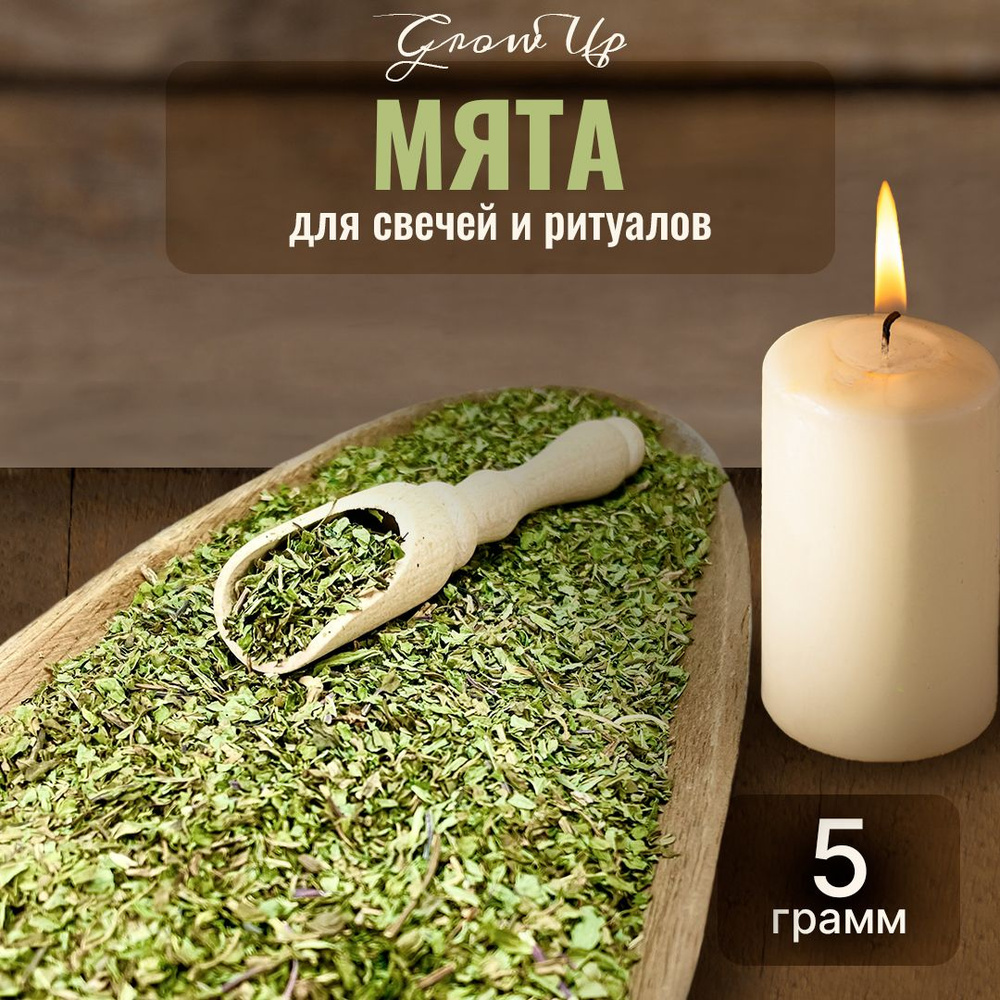 Мята сушеная трава 5 гр - сухоцветы для свечей, творчества и ритуалов  #1