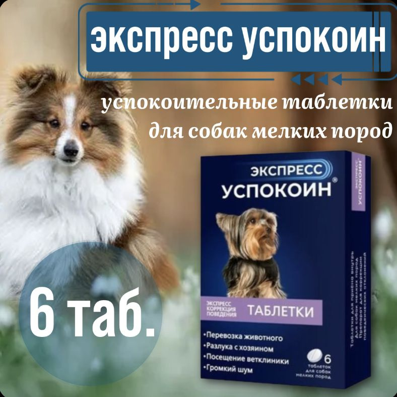 Экспресс успокоин для собак мелких пород отзывы. Экспресс успокоин для собак таблетки. Экспресс успокоин для собак таблетки. Экспресс успокоин для кошек отзывы. Экспресс успокоин для собак мелких пород отзывы.