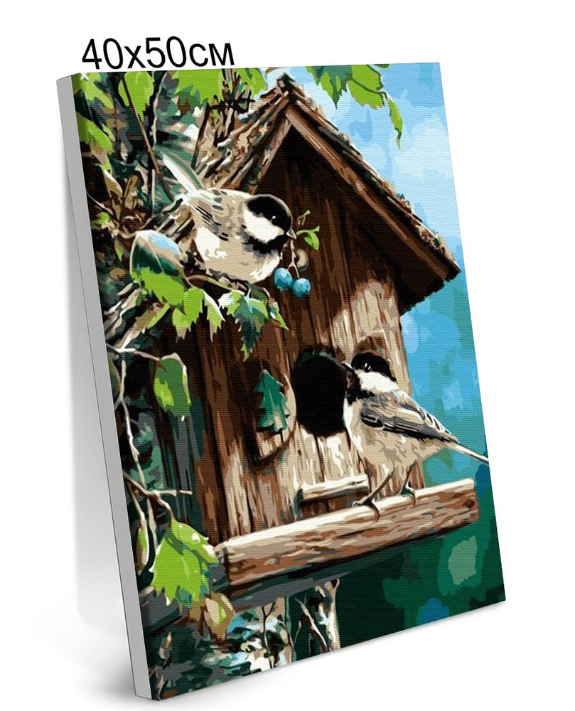 Картина по Номерам на Холсте 40х50 см Colibri Птички в Скворечнике С Подрамником для Детей и Взрослых #1