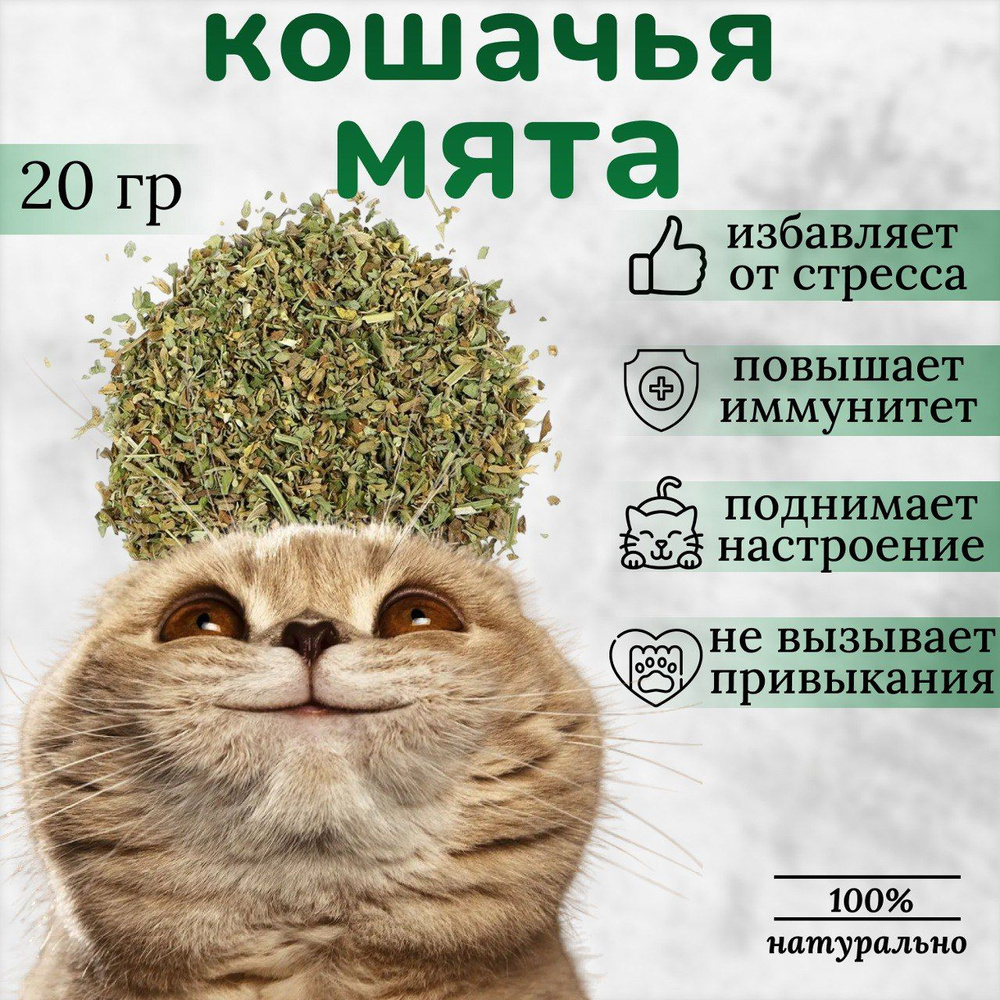 Кошачья мята 20 грамм - Котовник сушенная трава. Лакомство для коррекции поведения, успокоительное, антистресс. #1