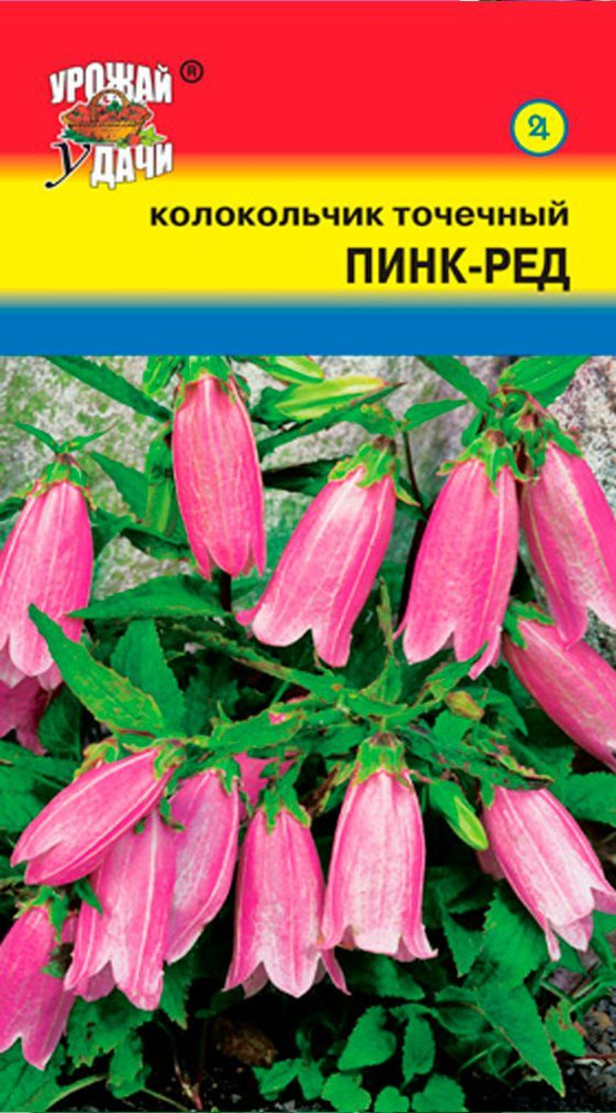 Семена Колокольчик Точечный ПИНК РЕД (Семена УРОЖАЙ УДАЧИ, 0,02г в упаковке)  #1