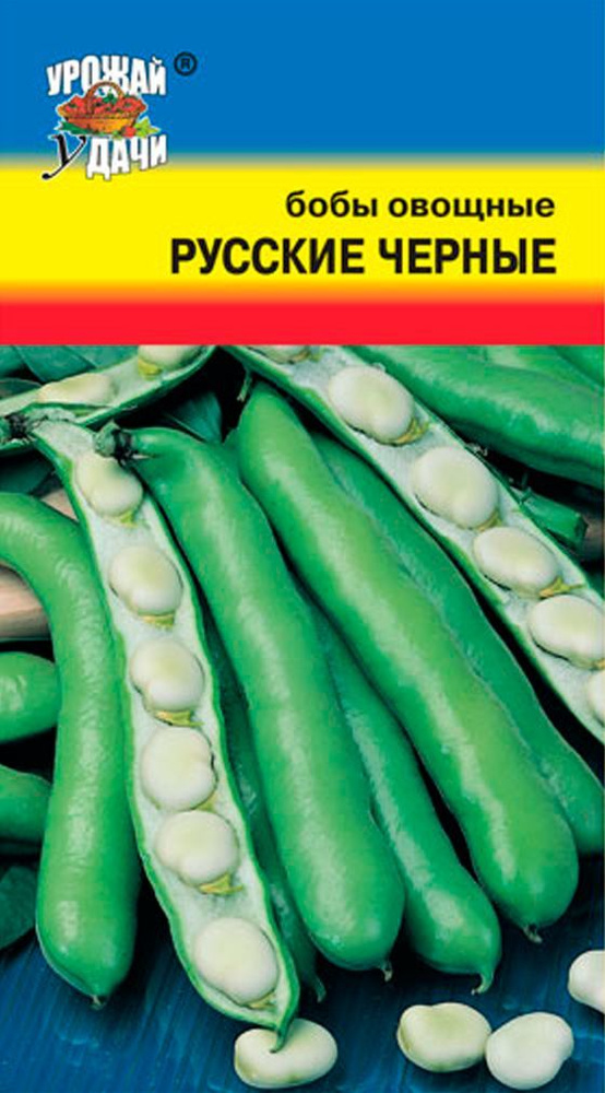 Бобы РУССКИЕ ЧЁРНЫЕ (Семена УРОЖАЙ УДАЧИ, 6 штук семян в упаковке)  #1