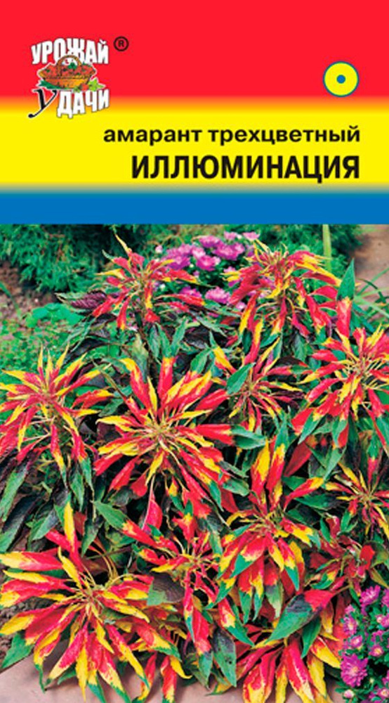 Амарант трёхцветный ИЛЛЮМИНАЦИЯ (Семена УРОЖАЙ УДАЧИ, 0,05 г семян в упаковке)  #1