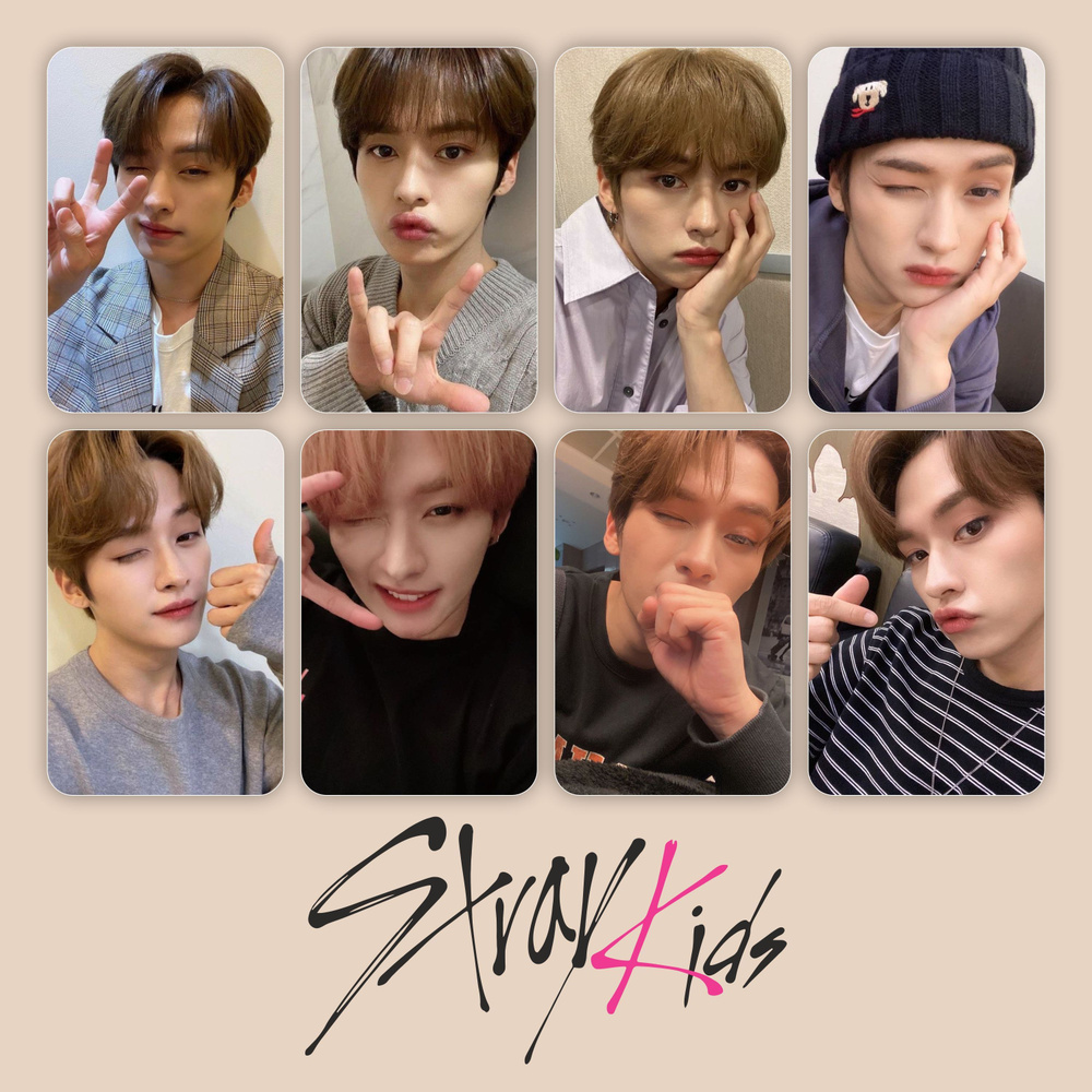 K-pop(К-поп) Stray Kids Lee Know Minho (Стрей Кидс Ли Ноу Минхо) матовые карточки 8 шт. (85х55 мм)  #1