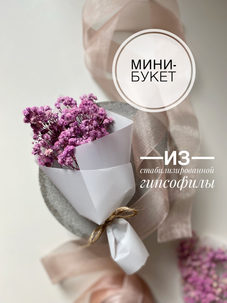 Сухоцветы Гипсофила, 20 см, 10 гр, 1 шт #1