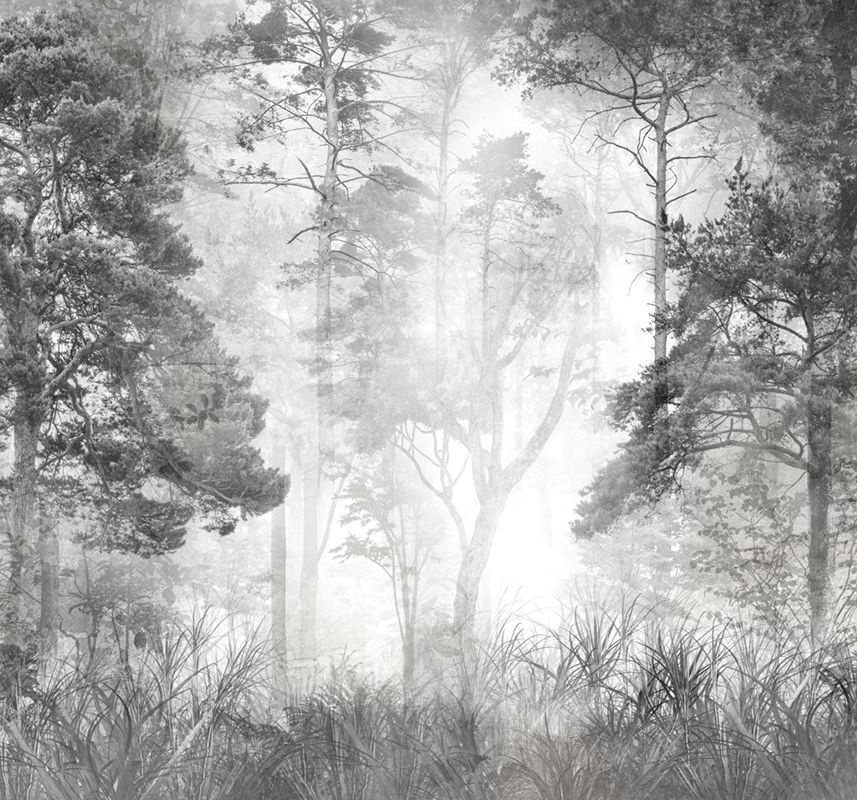 Фотообои флизелиновые на стену 3д GrandPik 10257 "Лес в тумане" см(ШхВ), 300х280 см  #1