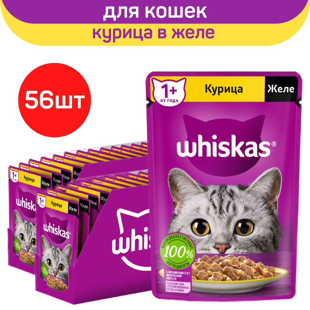 Влажный полнорационный корм Whiskas для взрослых кошек, желе с курицей, 75г. х 56шт.  #1