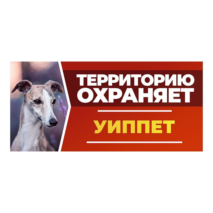 Табличка, DANGER DOG, Уиппет, на забор, 30см х 14см #1