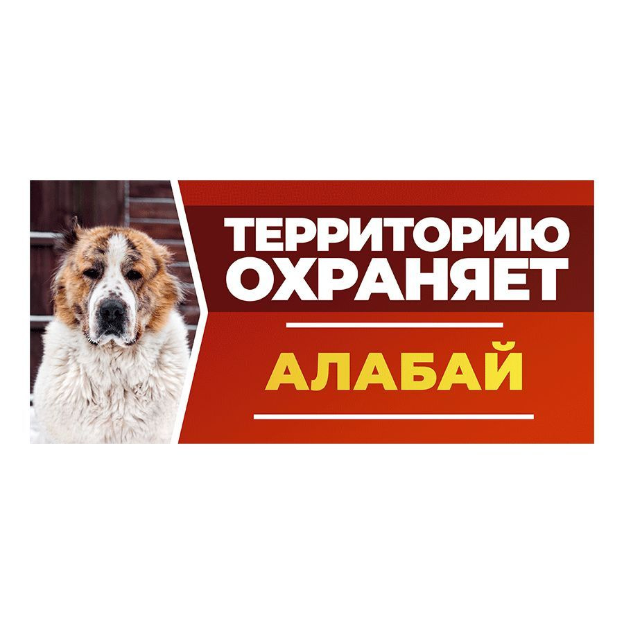 Табличка, DANGER DOG, Алабай, на забор, 30см х 14см #1