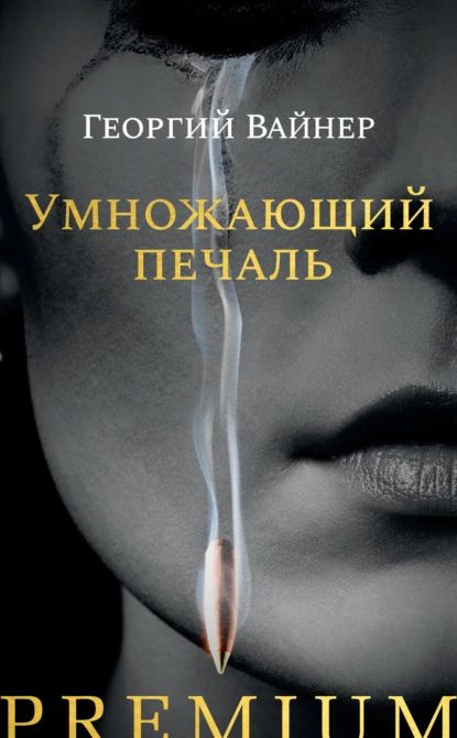 Умножающий печаль | Вайнер Георгий Александрович | Электронная книга  #1