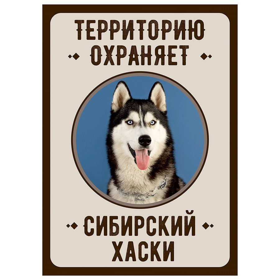 Табличка, Злая собака, Территорию охраняет Сибирский хаски, на металлической основе, 18см х 25 см, на #1