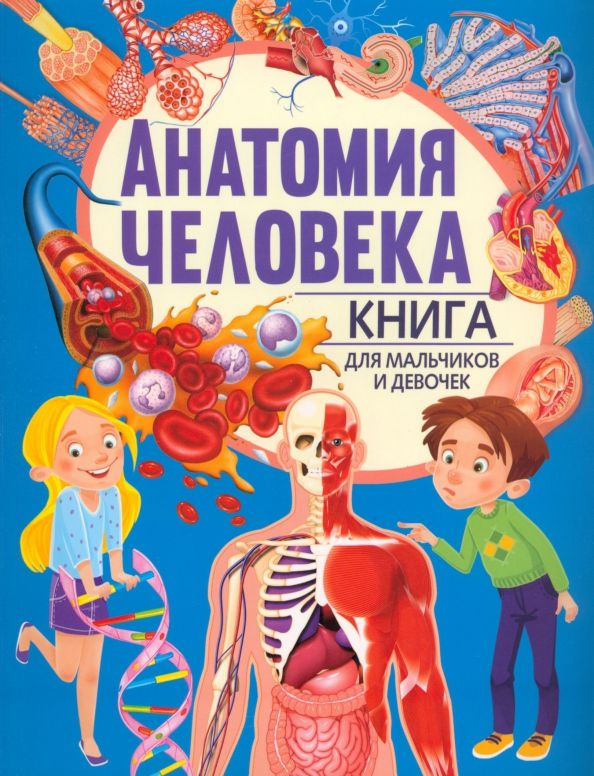 Анатомия человека Книга для мальчиков и девочек #1