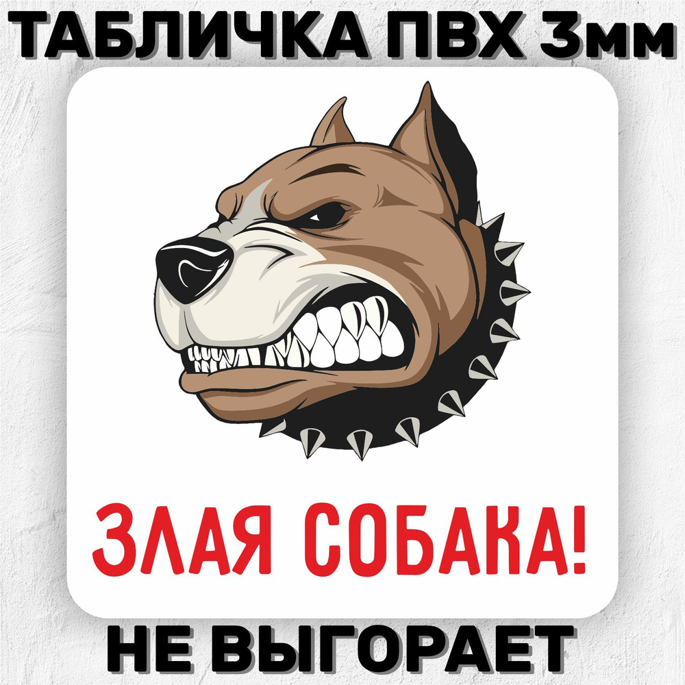 Табличка информационная Прикольная Злая собака 30х30 см #1