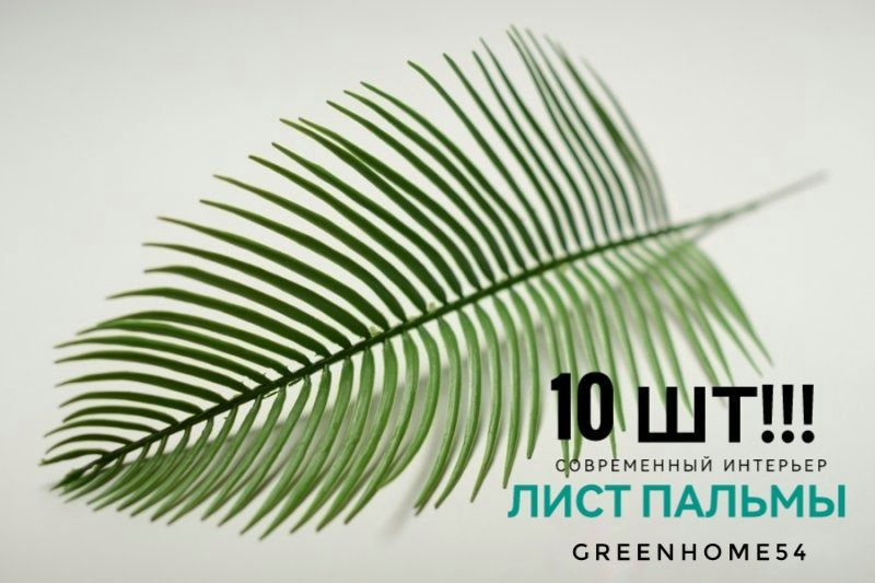 GreenHome54 Ветка, шишка декоративная,10шт #1