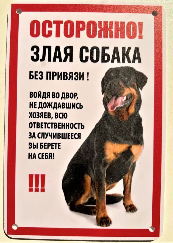 Табличка "Осторожно злая собака" #1