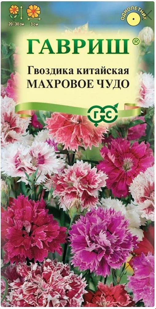 Гвоздика китайская Махровое чудо (смесь), 1 пакет, семена 0,05 гр, Гавриш  #1