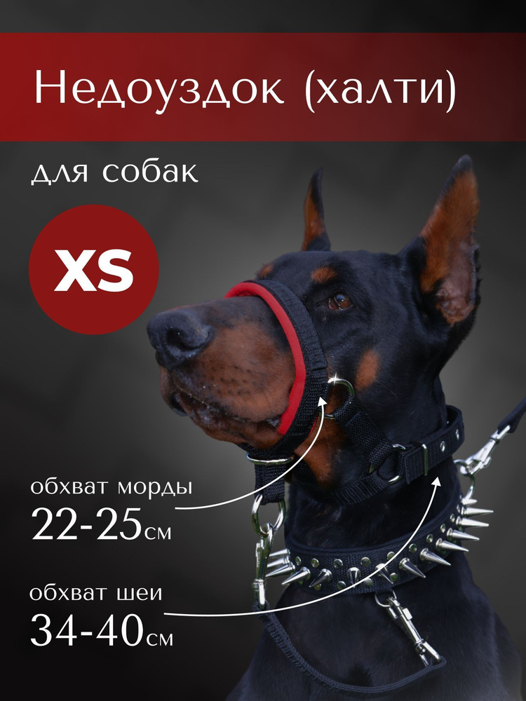 Недоуздок(халти) TESLA COLLAR для собак "XS" с красным подкладом  #1