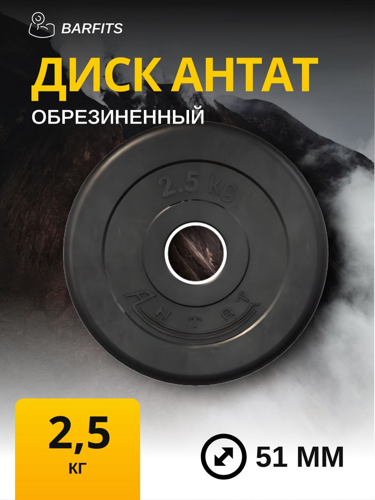 Диск обрезиненный для гантелей и штанги 51 мм 2,5 кг Антат, черный  #1