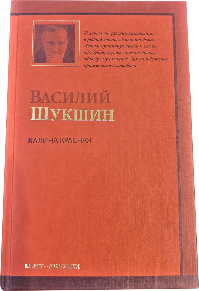 Калина красная (сборник). 320 стр. 2010 г. #1