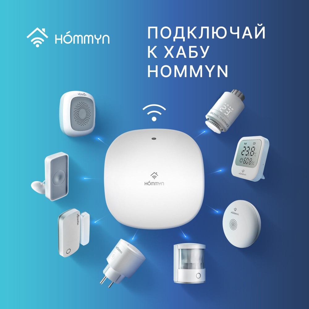 Сенсор температуры и влажности HOMMYN TS-20-Z #1